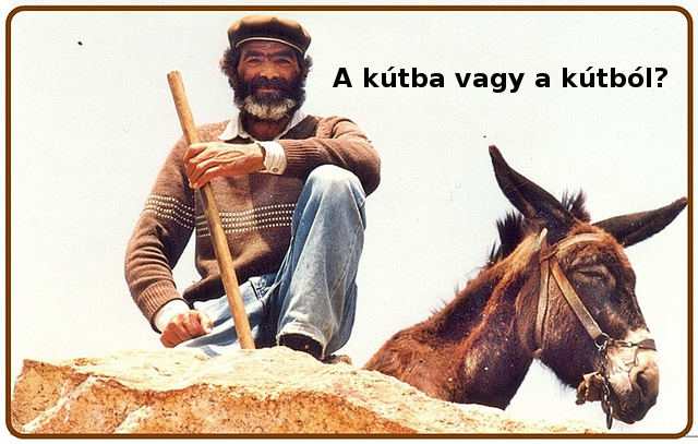 A túlélés felismerése a TÚL élés!